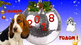 С наступающим новым годом собаки 2018 год Видео поздравление