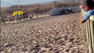 GRATIDÃO! DISPUTA DE VAQUEJADA DO BOLÃO NO PARQUE SAFIRA RANCH-CAITITÉ-BA! 😃👏🙏☝️