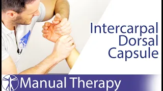 Intercarpal Assessment & Mobilization Wrist Flexion | Scaphotrapeziotrapezoid Joint