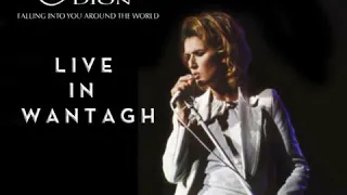 Celine Dion - Call The Man (Live in Wantagh)