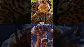 Jaguar vs wolf(werewolf),wild boar,bull(minotaur)