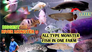 BIGGEST MONSTER FISH FARM KOLKATA | ALL TYPE MONSTER FISH AVAILABLE | ARAPIMA AROWANA STINGRAY |