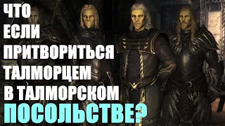 Что Будет Если Притвориться ТАЛМОРЦЕМ в Талморском Посольстве? Skyrim