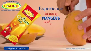 Mango Flavour Ice Cream / Real Coco Malai