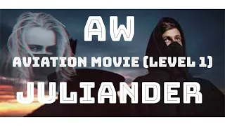 ALAN WALKER » Aviation Level - 1 juliander co-pilot