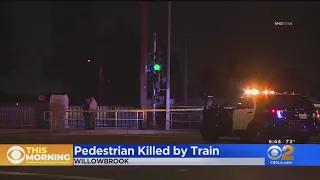 Pedestrian fatally struck by train in Willowbrook