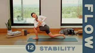 Flow - Day 12 - Stability