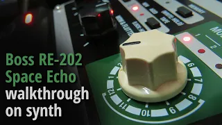 Boss RE-202 Space Echo walkthrough on synth