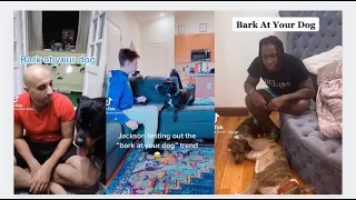 BARK At Your Dog and Watch Their Reaction Compilation  TIK TOK Challenge 1