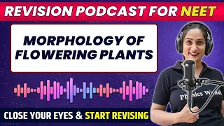 MORPHOLOGY OF FLOWERING PLANTS in 72 Minute | Quick Revision PODCAST | CLASS 11th | NEET