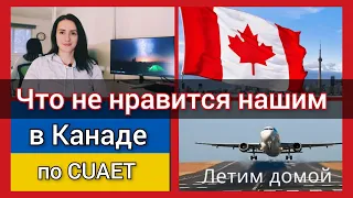 15 минусов Канады по CUAET. Почему уезжают из Канады? Впечатления и реальность. Канада иммиграция.