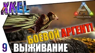 Боевой АРГЕНТ! Добиваем уровень! #9 - #ArkВЫЖИВАНИЕ В одиночку! Ark: Survival Evolved Прохождение