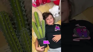 A MI SOBRINA LE ENCANTAN LOS CACTUS 🌵