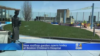 Boston Children's Hospital To Open New Rooftop Garden