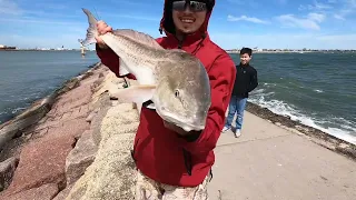 Catching big red fish at surfside beach ‼️