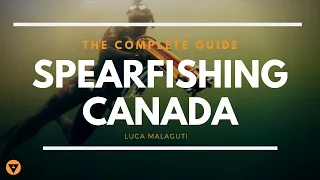 The Complete Guide | Spearfishing Canada | All You Need To Know About The Pacific North West