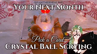 Crystal Ball🔮Your Next Month (Timeless) Predictions + Advices🔮Pick a Card✨🤲🏻 #crystalball