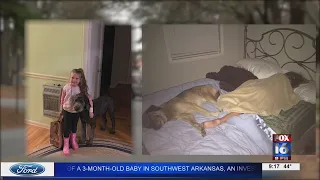 Thief caught on camera stealing Little Rock family’s dog