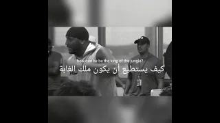 فيديو تحفيزي . عقلية الأسد  ...