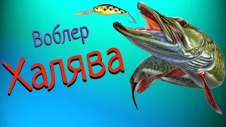 ШОК для спиннингиста ! Воблер -Халява !