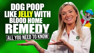 Dog Poop Like Jelly with Blood Home Remedy | 5 NATURAL Ways To Do It Properly