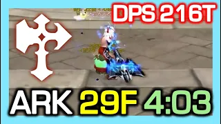 Destroyer ARK 29F 4:03 / DPS 216 Trillion / ARK Contest S1 / Dragon Nest China