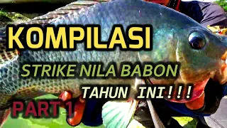 KOMPILASI NILA BABON TAHUN INI #PART1