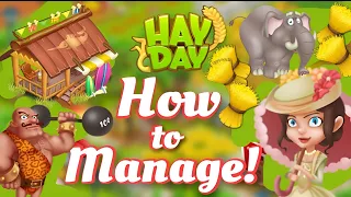 Hay Day - How to Manage: Town & Sanctuary