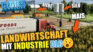 Agrarwirtschaft mit Industrie DLC fetzt! - 2 - Cities Skylines 2022