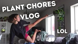 Indoor Plants Care Routine | Repurposed Lamp Plant Stand | Chopping to Revive Root rot  Houseplants!