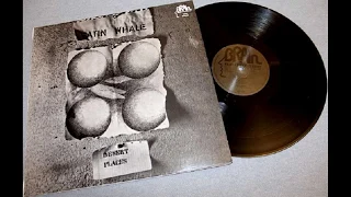 Satin Whale    Desert Places  1974 Germany Progressive Rock,Blues Rock