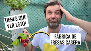 Así CULTIVO FRESAS SIN PARAR: Esto es una FÁBRICA DE FRESAS - HUERTO VERTICAL DIY || en20metros