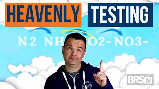 Test Aquarium Water DAILY? Advanced Nitrogen Cycle Testing & Tips! Ep. 41a