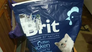 Распаковка корма Brit Chicken