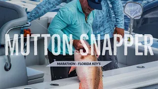 MASSIVE Mutton Snapper caught | Sportsman's Adventures 2019 - Season 25, Episode 4