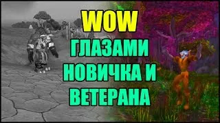 WoW глазами новичка и ветерана