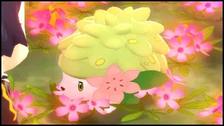 How To GET SHAYMIN with the SURF GLITCH in Pokemon Brilliant Diamond and Shining Pearl