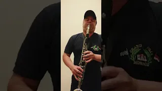 Captivating Cover I will survive for Alto Clarinet 🎷