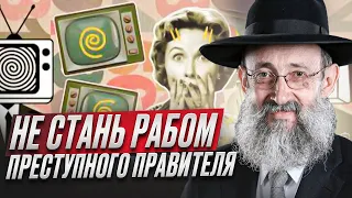 Не стань рабом преступного правителя. Рав Ашер Кушнир