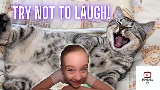 Try Not to Laugh Challenge! - 61 Best Clean Jokes on the Internet!