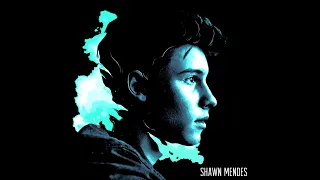 Shawn Mendes - FULL Calm Meditation 'Breathe Into It'