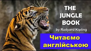 Читаємо англійською мовою. "Книга Джунглів" в оригіналі з перекладом та поясненнями. Урок 1