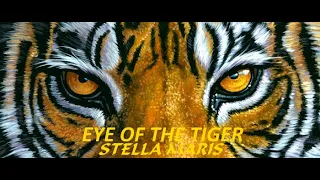 EYE OF THE TIGER (Fun Factory) - Remix - Stella Maris Cover