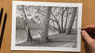 Trees by the River - Charcoal Drawing