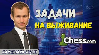 Решаем ЗАДАЧИ на ВЫЖИВАНИЕ!! Челлендж на 70.000 рублей!! Шахматы & Сергей Жигалко. На Chess.com