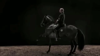 Thunder ~ Horse Music Video
