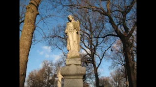 Calvary Cemetery & Precious Hope - St. Louis, Missouri