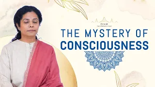 The Mystery Of Consciousness