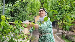 IRAN Daily Village Life: How a girl lives alone in a remote village