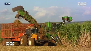 O cenário atual do agronegócio no Brasil